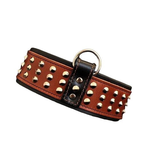 Bestia The Star Brown Collar for Dogs - 5060693302510