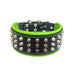 Bestia The Stud Collar for Dogs - 5060693301865