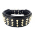 Bestia The Stud Collar for Dogs - 5060693301827