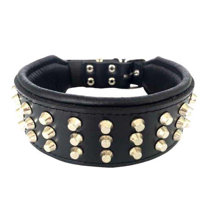 Bestia The Stud Collar for Dogs - 5060693301858