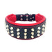 Bestia The Stud Collar for Dogs - 5060693301872