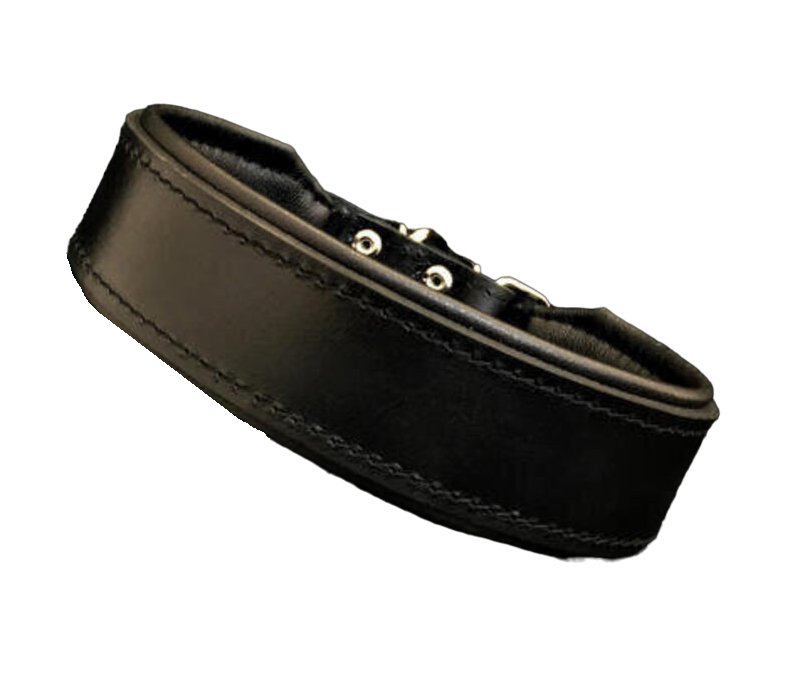 Bestia The "Stylish" Black Collar for Dogs - 5060693300936