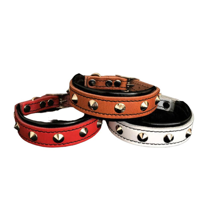 Bestia The "Superstar" Collar for Puppies - 5060978810136