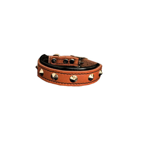 Bestia The "Superstar" Collar for Puppies - 5060693306532
