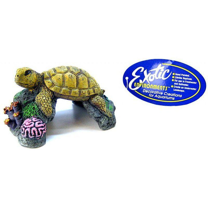 Blue Ribbon Sea Turtle Ornament - 030157002862