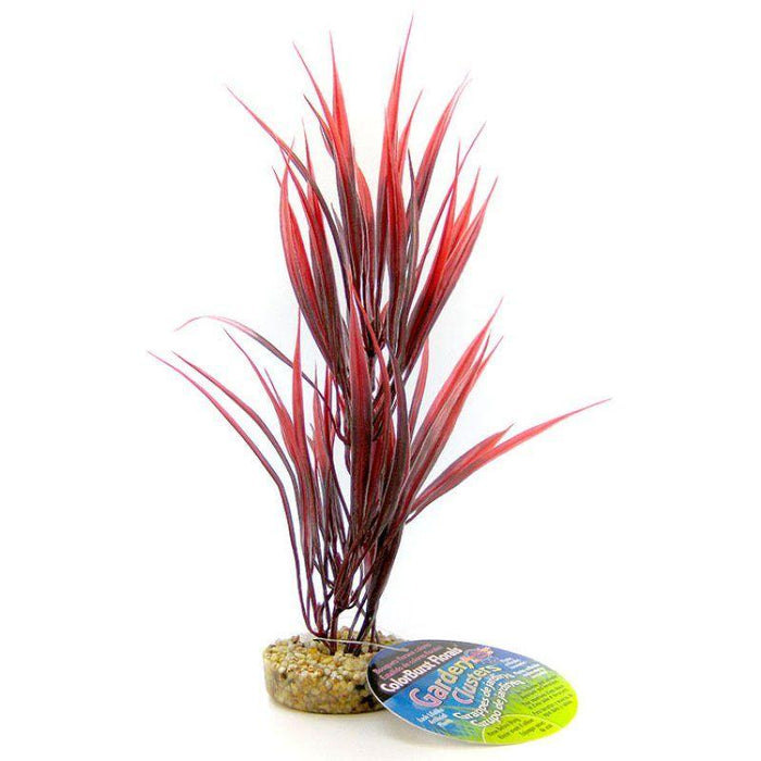Blue Ribbon Sword Plant with Gravel Base - Red - 030157014254