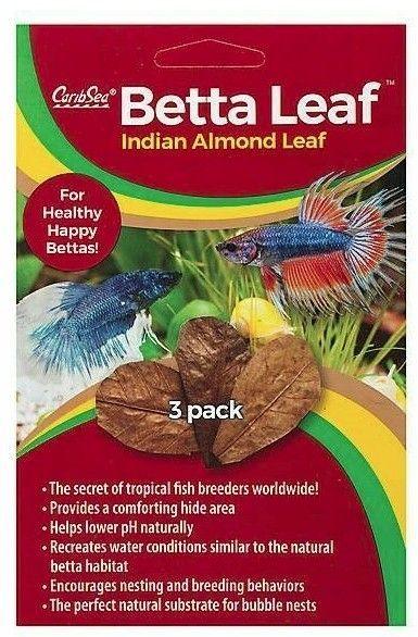 CaribSea Betta Indian Almond leaf - 008479006509