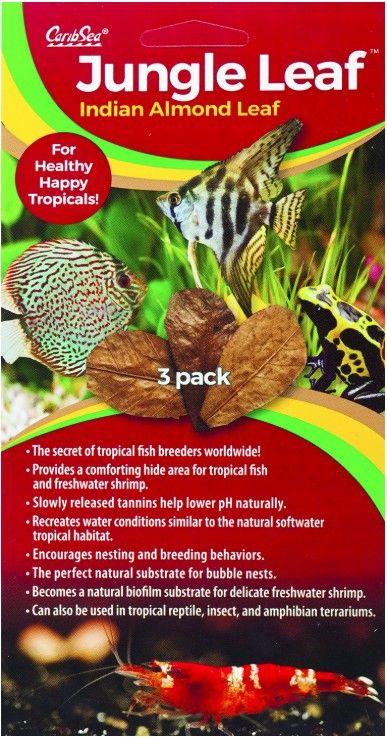Caribsea Jungle Indian Almond Leaf - 008479006516