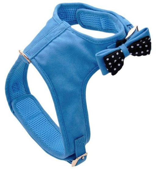 Coastal Pet Accent Microfiber Dog Harness Boho Blue with Polka Dot Bow - 076484214509