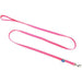 Coastal Pet Nylon Lead - Neon Pink - 076484035500