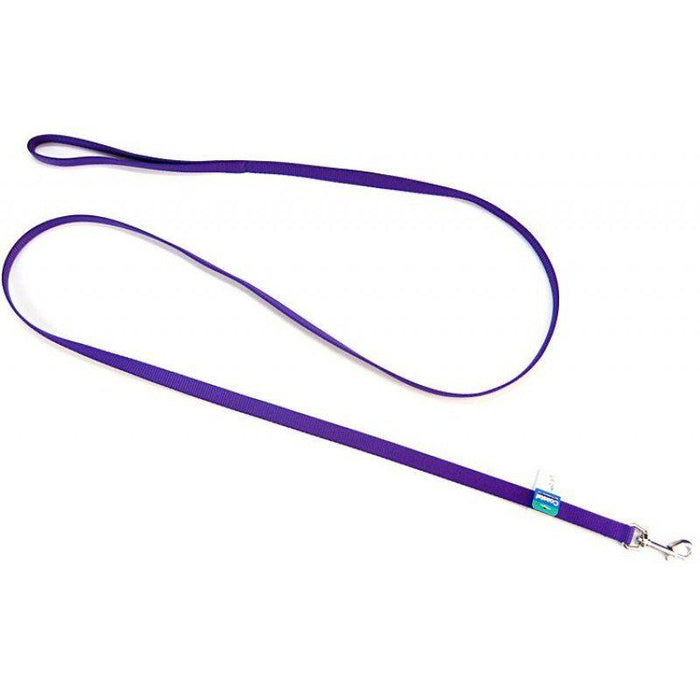 Coastal Pet Nylon Lead - Purple - 076484035555