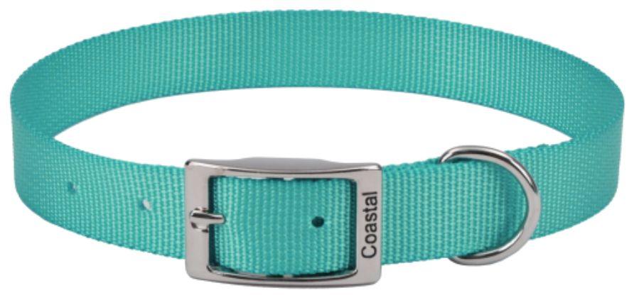 Coastal Pet Single-ply Teal Nylon Dog Collar - 076484401817