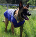 Doggie Design Alpine Extreme Cold Puffer Coat - Blue - 811618012404