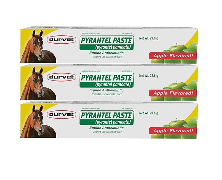 Durvet Pyrantel Paste (Apple Flavored) Horse Dewormer - 23.6 g -