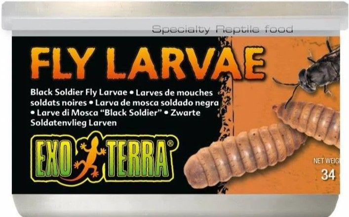 Exo Terra Canned Black Soldier Fly Larvae Specialty Reptile Food - 015561219662