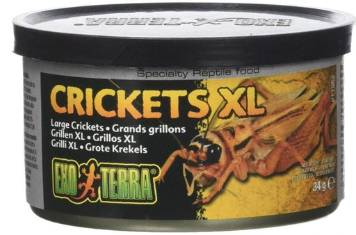 Exo Terra Canned Crickets XL Specialty Reptile Food - 015561219624