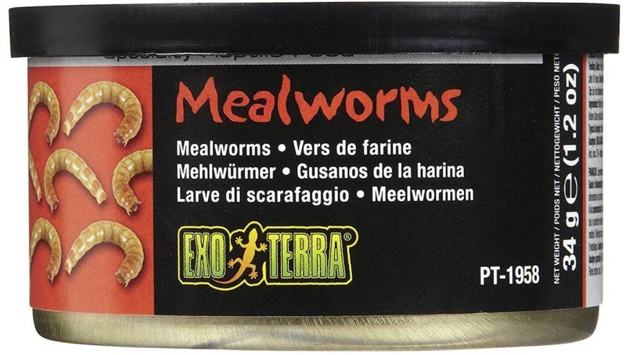 Exo Terra Canned Mealworms Specialty Reptile Food - 015561219587