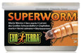 Exo Terra Canned Superworms Specialty Reptile Food - 015561219648