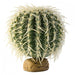 Exo-Terra Desert Barrel Cactus Terrarium Plant - 015561229852