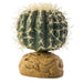Exo-Terra Desert Barrel Cactus Terrarium Plant - 015561229807
