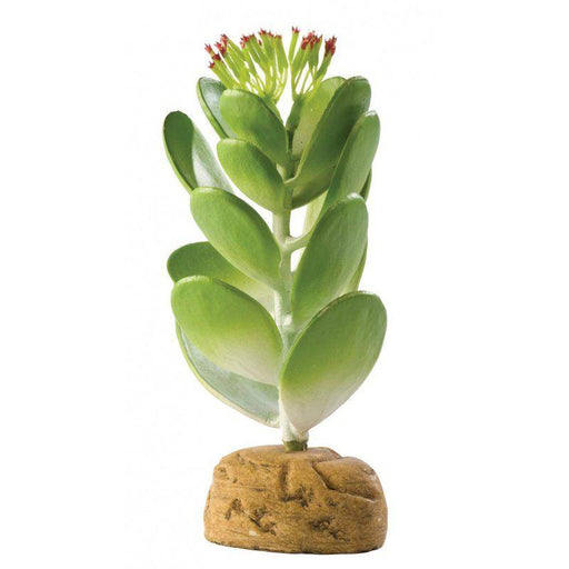 Exo-Terra Desert Jade Cactus Terrarium Plant - 015561229845