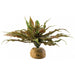 Exo-Terra Desert Star Cactus Terrarium Plant - 015561229821