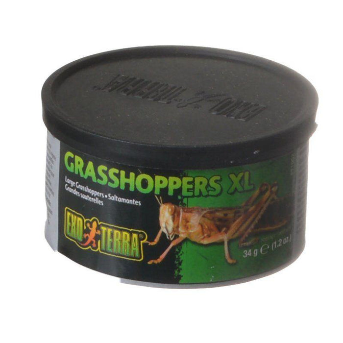 Exo-Terra Grasshoppers XL - 015561219525