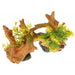 Exotic Environments Driftwood Centerpiece with Plants - Small - 030157019211