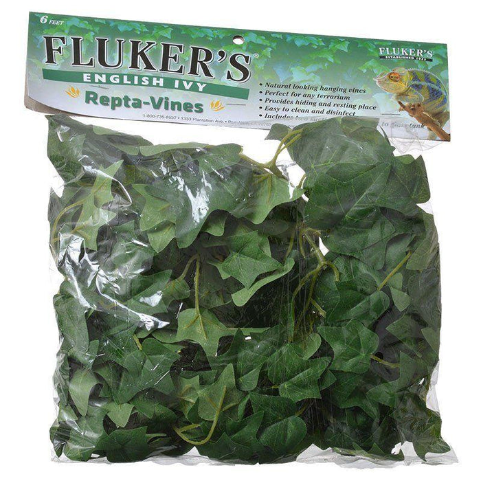 Flukers English Ivy Repta-Vines - 091197510144