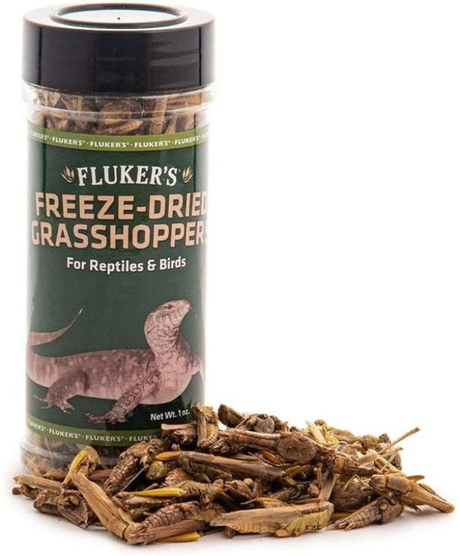 Flukers Freeze-Dried Grasshoppers - 091197720185
