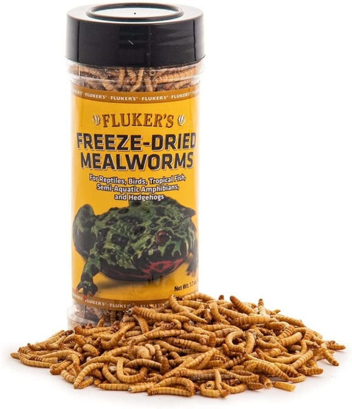 Flukers Freeze-Dried Mealworms - 091197720260
