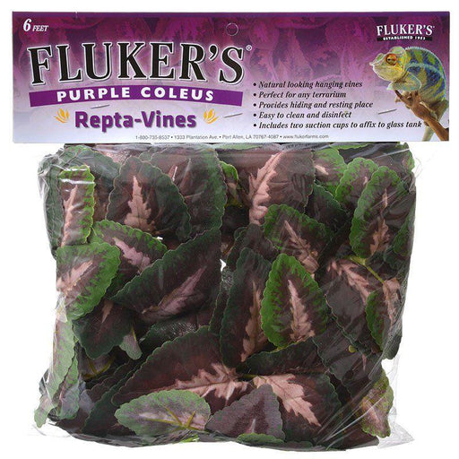 Flukers Purple Coleus Repta-Vines - 091197510168