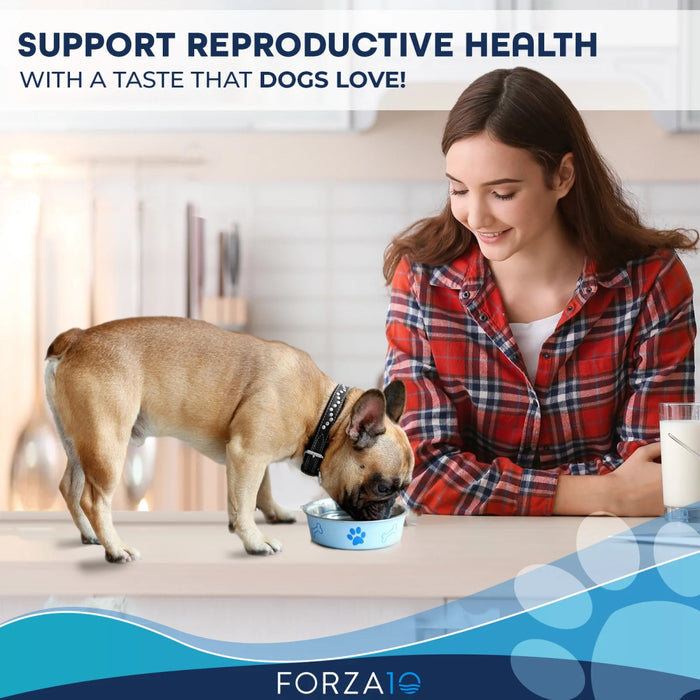 Forza10 Nutraceutic Active Reproductive Male Diet Dry Dog Food - 8020245706682