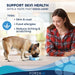 Forza10 Nutraceutic Actiwet Dermo Icelandic Fish Recipe Wet Dog Food - 8020245707054