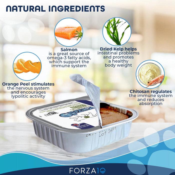 Forza10 Nutraceutic Actiwet Diabetic Support Icelandic Fish Recipe Canned Cat Food - 8020245707146