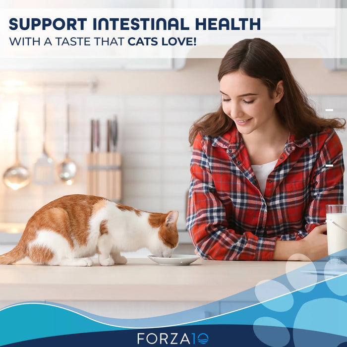 Forza10 Nutraceutic Actiwet Digestive Support Icelandic Fish Recipe Wet Cat Food - 8020245707108
