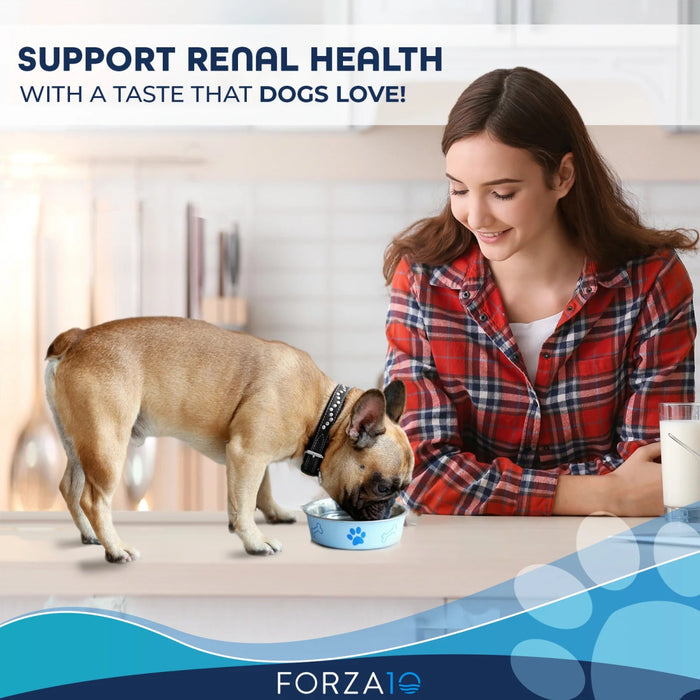 Forza10 Nutraceutic Actiwet Renal Support Wet Dog Food - 8020245707764