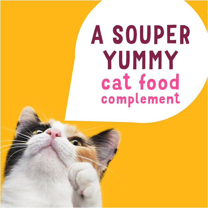 Friskies Natural Grain-Free Lil' Soups With Sockeye Salmon In Chicken Broth Cat Food Compliment - 00050000171910