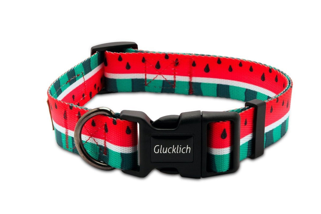 Glucklich Polyester Printed Adjustable Dog Collar - Pack of 1 - 8904401401324