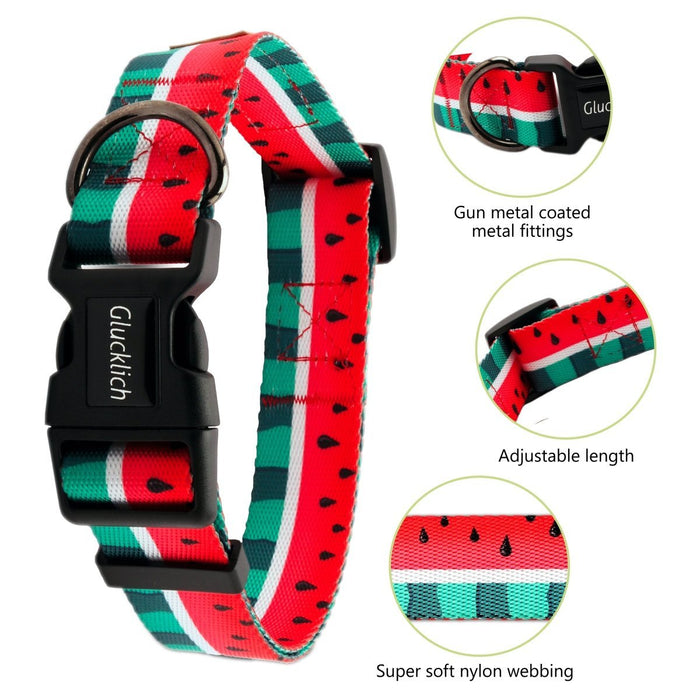 Glucklich Polyester Printed Adjustable Dog Collar - Pack of 1 - 8904401401331