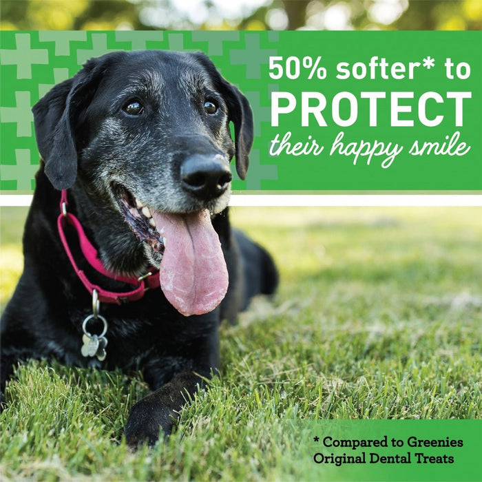 Greenies Aging Care Large Dental Care Dog Treats - 642863108839