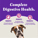 Halo Holistic Complete Digestive Health Grain Free Turkey and Sweet Potato Dog Food Recipe Adult Dry Dog Food - 745158595038