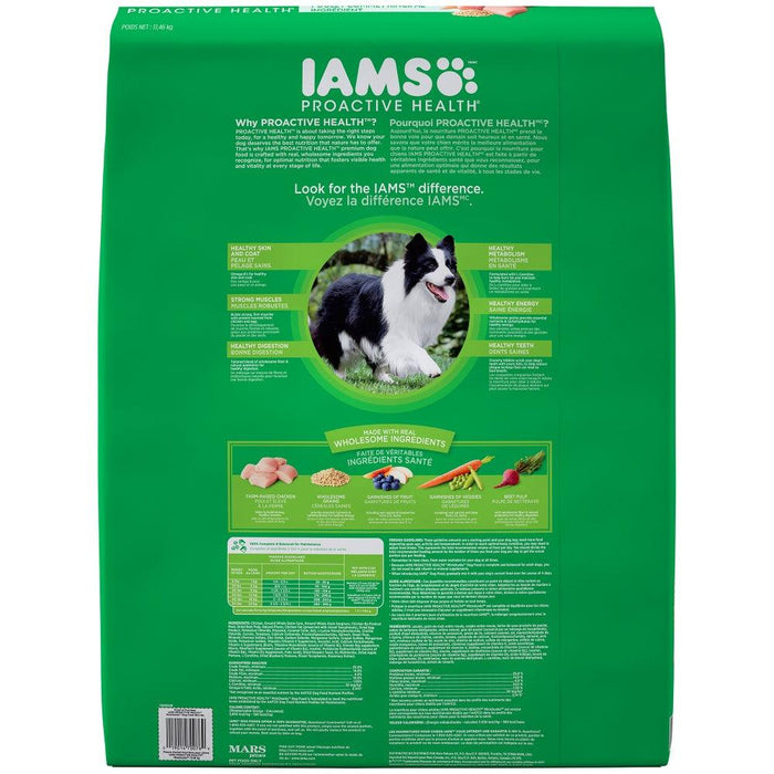 Iams ProActive Health Adult MiniChunks Dry Dog Food - 019014610907