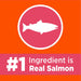 Iams ProActive Health Original with Salmon and Tuna Dry Cat Food - 019014804122