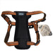 K9 Explorer Reflective Adjustable Padded Dog Harness - Campfire Orange - 076484364464