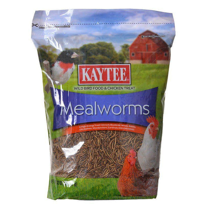 Kaytee Mealworms Bird Food - 071859949321