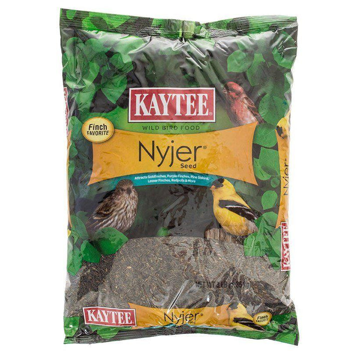 Kaytee Nyger Seed Bird Food - 071859930114