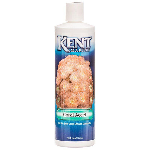 Kent Marine Coral Accel - 751906005599