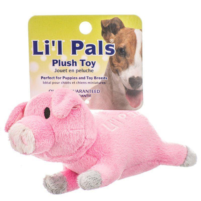 Lil Pals Ultra Soft Plush Dog Toy - Pig - 076484799112