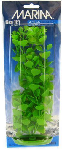 Marina Aquascaper Moneywort Plant - 080605112162